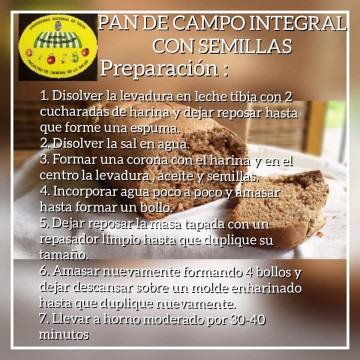 Pan-Integral2.jpg