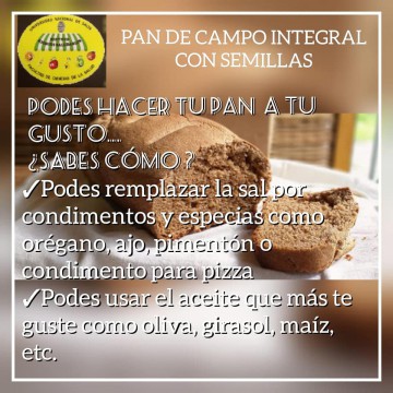 Pan-Integral3.jpg